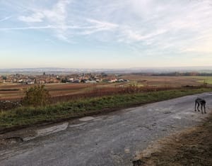 Balade de Merfy - valerie - 4