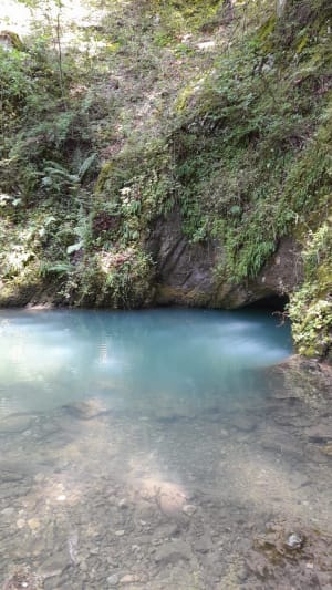 Source bleue et lac de Saint-Point - Malbuisson - 36