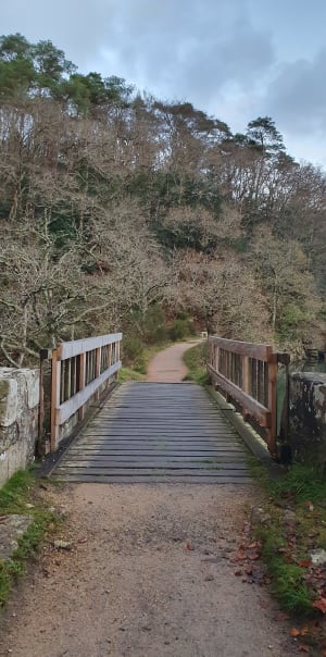 Au fil du Léguer depuis Lannion - Lannion - 14