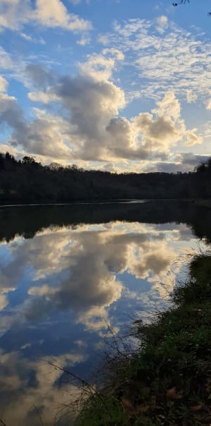 Au fil du Léguer depuis Lannion - Lannion - 15