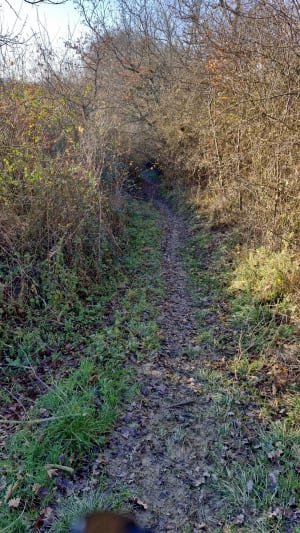 Sentier du Kazé - Variante 8 km - Simorre - 6