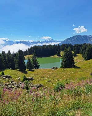 Tour du lac de la grande Léchere - Saint-François-Longchamp - 17