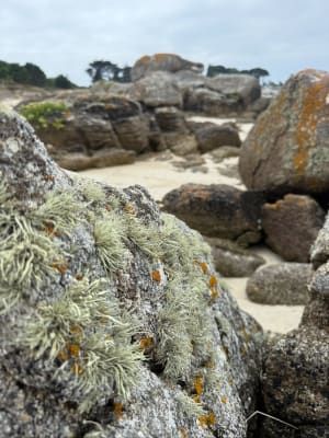 De la plage de Ster Greich à la pointe de la Jument - Trégunc - 9