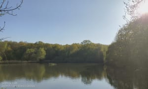 L’etang des écrevisses a l’etang du trou aux gants - Vélizy-Villacoublay - 15