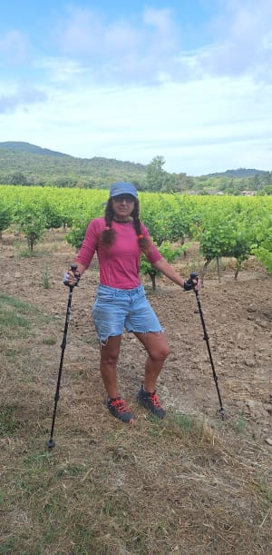 Mimosas à Roquebrune-sur-Argens - Roquebrune-sur-Argens - 8