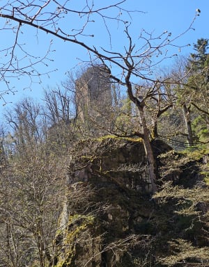 Rocher puis cascade du Nideck - Oberhaslach - 8