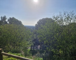 Entre Pierres et eau Grans-Cornillon-confoux - Grans - 6