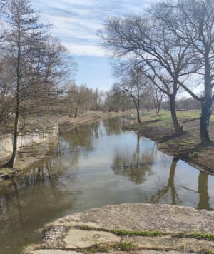 De l'Escaut au bois de Flines - Mortagne-du-Nord - 9