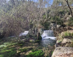 Découverte de la source de l'Avy - Grabels - 7