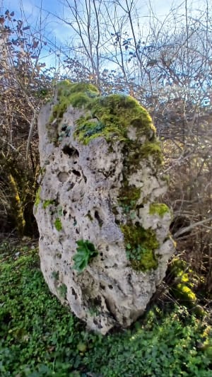 Randonnée autour des cabanes de Brassac - Brassac - 4