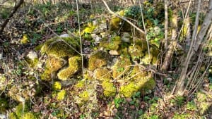 Randonnée autour des cabanes de Brassac - Brassac - 5