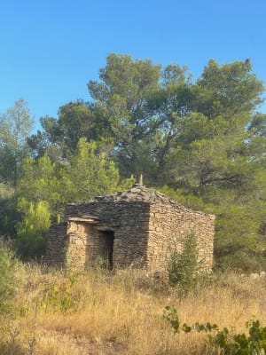 Circuit la Garrigue à la chapelle Notre Dame de Centheilles - Siran - 4
