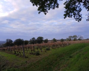 Boucle de Rebigue, vers Corronsac - Rebigue - 11
