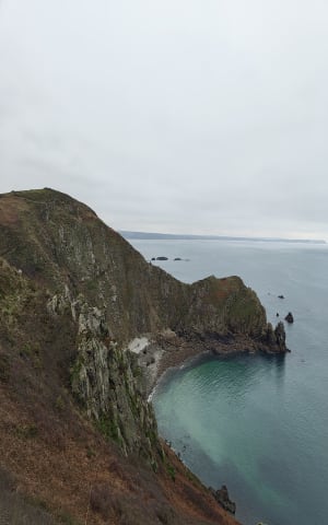 Nez de Jobourg, falaises et bocages normands - Jobourg - 43
