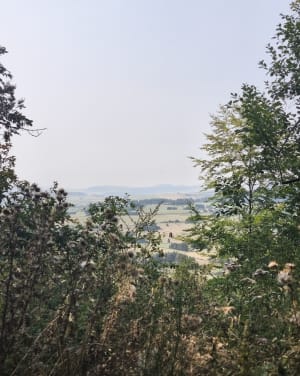 Puy de la Rodde - Aydat - 4