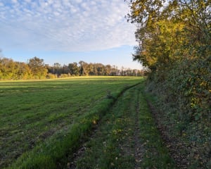 Randonnée à Soleymieu - Soleymieu - 14