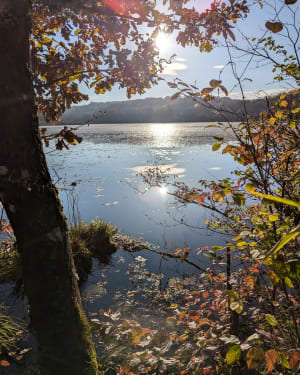 Randonnée à Soleymieu - Soleymieu - 15