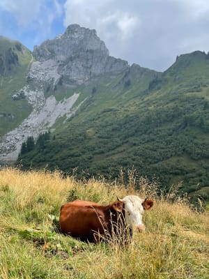 Meer Lessy - Glières-Val-de-Borne - 10