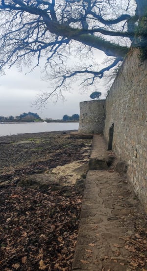 Jolie boucle de Bernus à Bernus - Vannes - 16