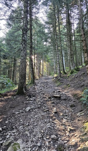 Mont Veyrier et Mont Baron par le col du Pré Vernet - Mont Rampon, Annecy-le-Vieux - 14