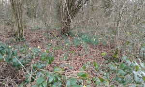 Randonnée autour de Clères - Clères - 6