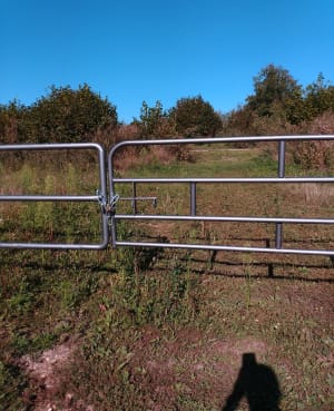 Balade sportive dans la forêt d'Angervilliers - Saint-Cyr-sous-Dourdan - 6