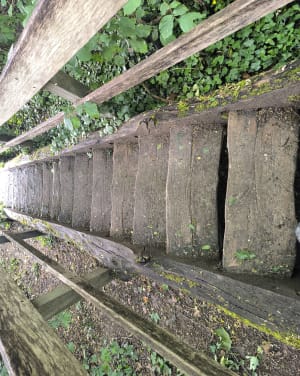 Santes des bois de la Gîtes - Santes - 3