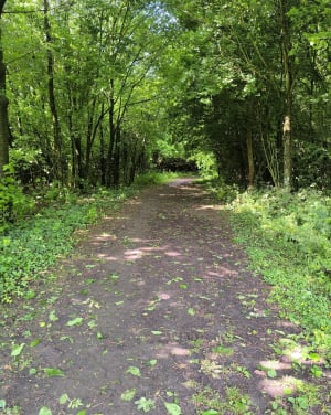 Santes des bois de la Gîtes - Santes - 4