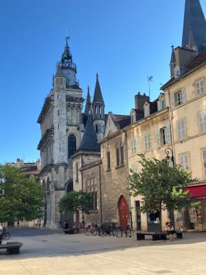 Historische wandeling in Dijon en verbazingwekkend architectonisch erfgoed - Dijon - 15