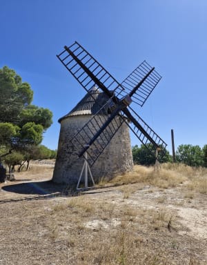 Étang de Vendres - Lespignan - 7