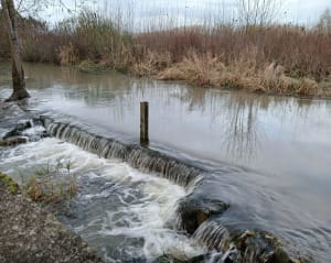 Boucle longeant l'Aube depuis Anglure - Anglure - 7