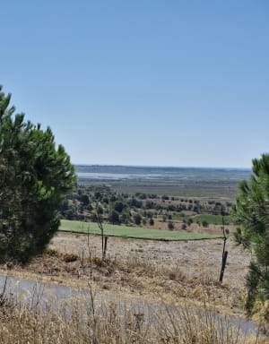 Étang de Vendres - Lespignan - 8