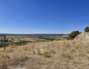 Étang de Vendres - Lespignan - 10