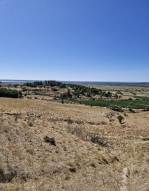 Étang de Vendres - Lespignan - 11