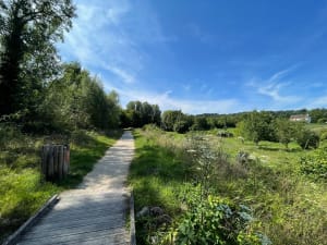Balade à Longpont-sur-Orge, par Montlhéry et Marcoussis - Longpont-sur-Orge - 7