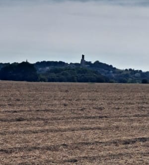 Balade au départ de Bray - Mont-Saint-Éloi - 2
