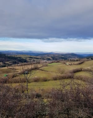 Balade bucolique sur le Plateau du Fraisse - Laussonne - 4