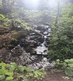 Randonnée au Lac de Guéry et Banne d'Ordanche - Murat-le-Quaire - 21