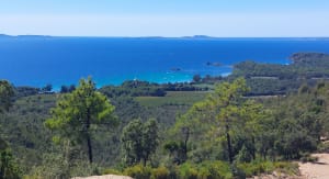 Entre terre et mer, du côté de Bregancon - Bormes-les-Mimosas - 43