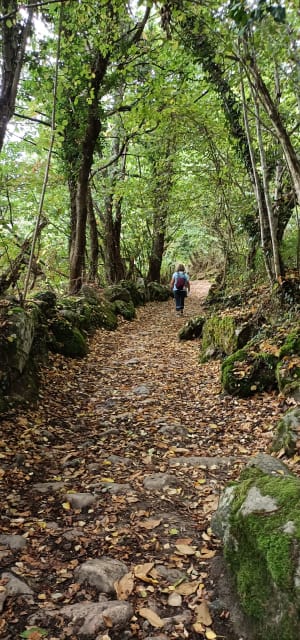 Depuis Argelès Gazost par Tarentet et Gez - Béatrice - 4