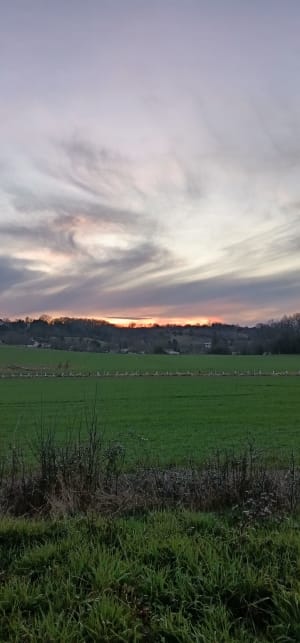 Balade à travers champs et bois à La Vallade - Magnac-sur-Touvre - 6