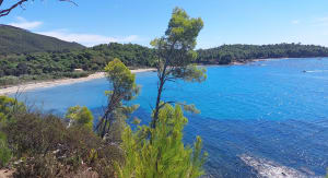 Entre terre et mer, du côté de Bregancon - Bormes-les-Mimosas - 45
