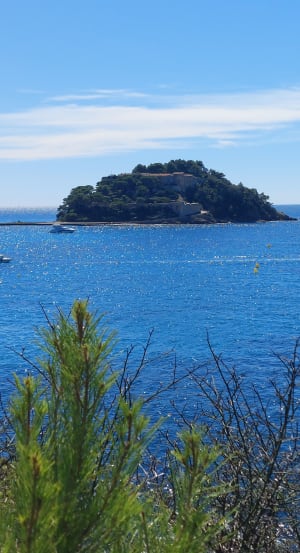 Entre terre et mer, du côté de Bregancon - Bormes-les-Mimosas - 46