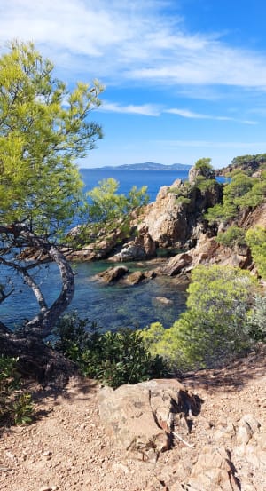 Entre terre et mer, du côté de Bregancon - Bormes-les-Mimosas - 47