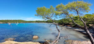 Entre terre et mer, du côté de Bregancon - Bormes-les-Mimosas - 48