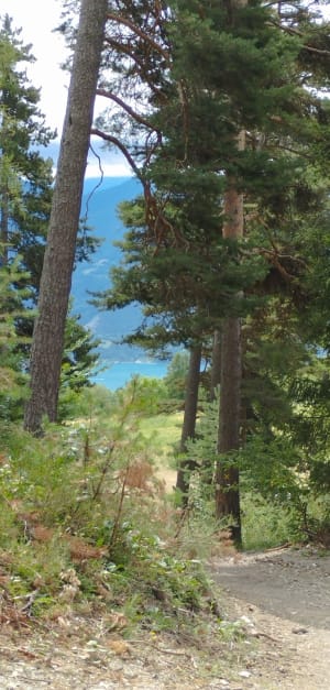 Lac saint Apollinaire - Saint-Apollinaire - 12