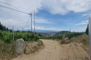 Rand des salamandres - Saint-Péray - 21