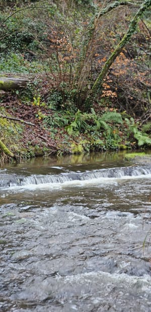 Vallée du Cam / Kerséac'h - Guipavas - 6