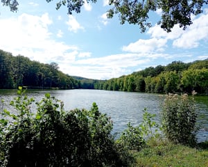 Balade lac de la Folie - Contrexéville - 4