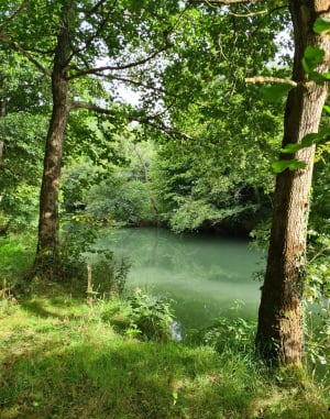 Trois passerelles sur la Canche - Montreuil-sur-Mer - 13